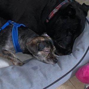 Meet your Posher, Javier